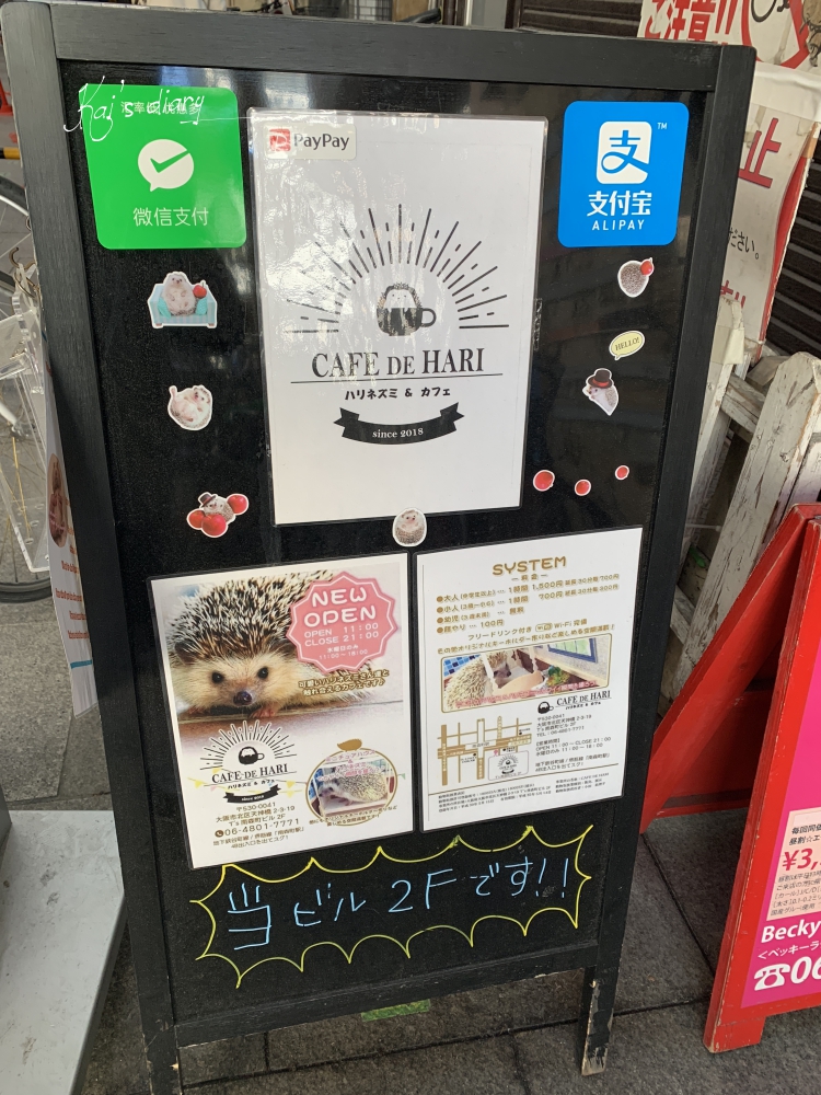 ☆【2019。大阪】超萌刺蝟陪你喝咖啡。南森町刺蝟咖啡廳CAFE DE HARI（カフェドハリ）