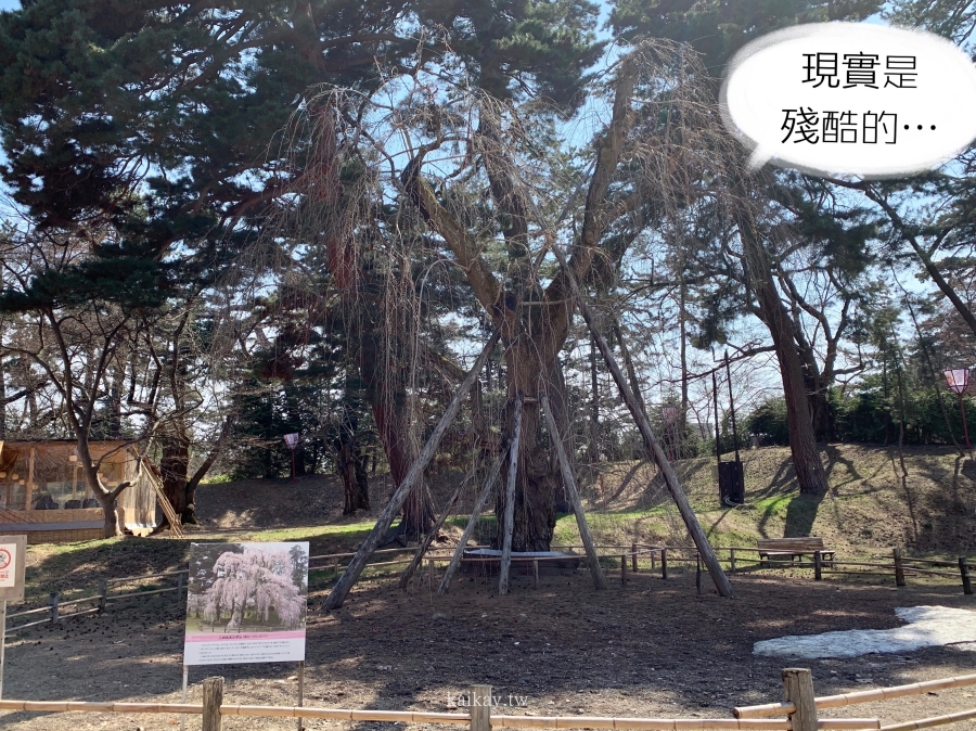 ☆【2019。青森】沒有櫻花的弘前公園。還沒開放蘋果足湯的南田溫泉