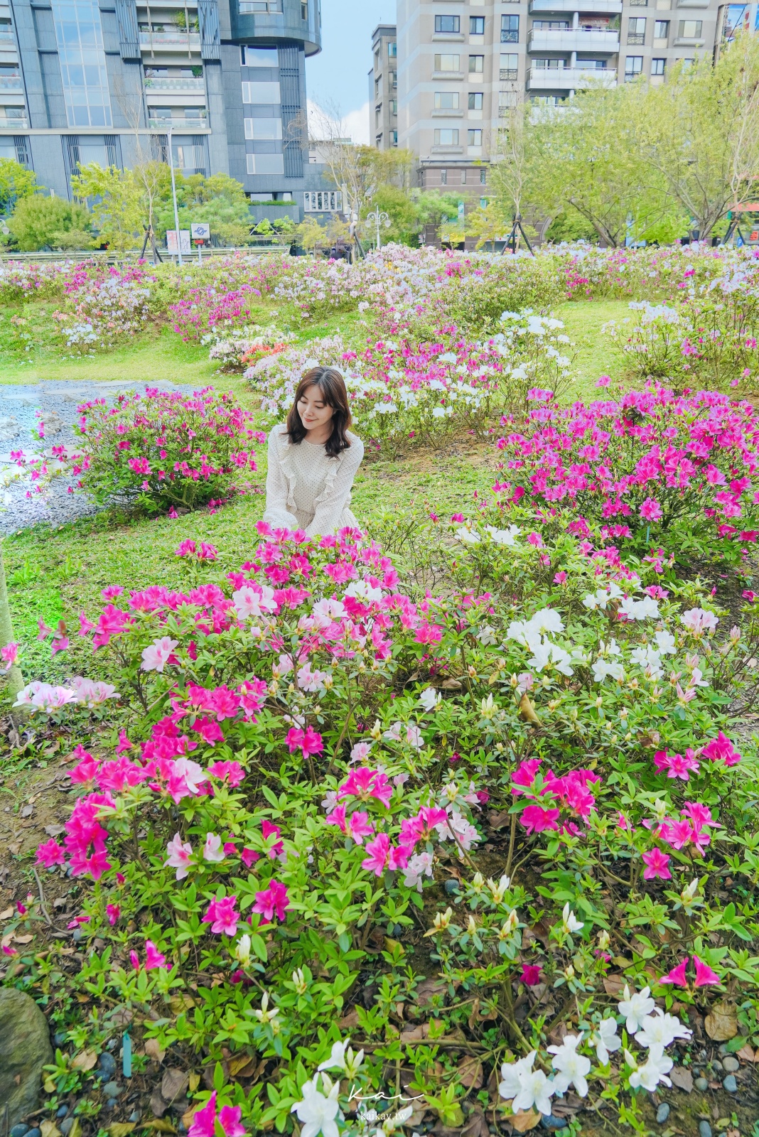 ☆【台北｜大安森林公園】搭捷運賞花趣！城市裡的繡球花園