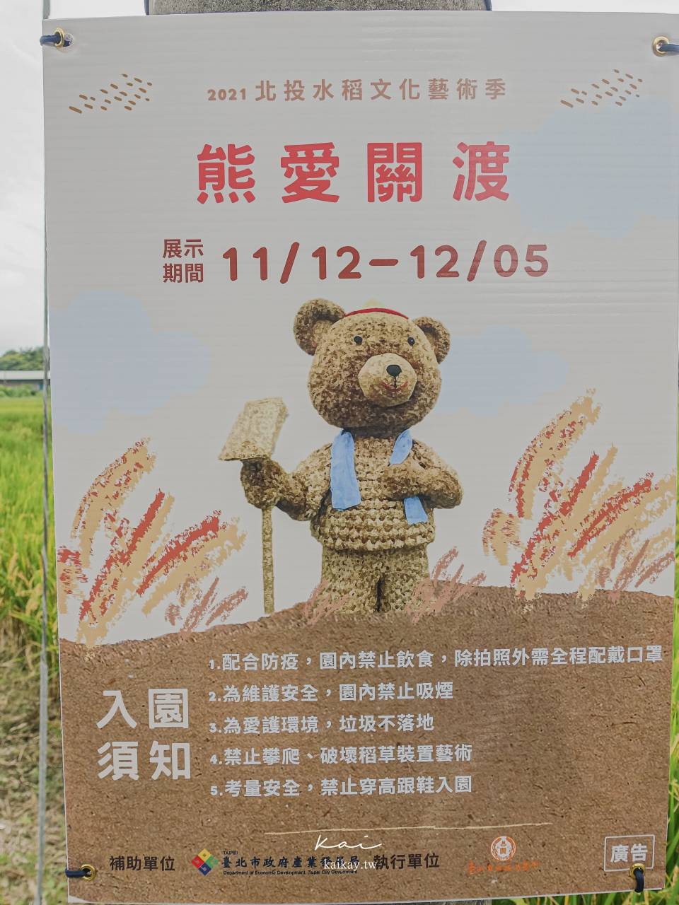 ☆【台北｜忠義站】2021熊愛關渡。金黃稻田裡的熊熊家族