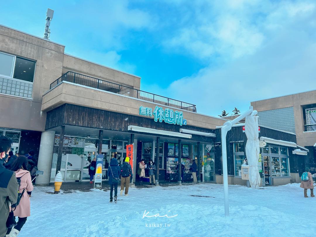 ☆【北海道旭山動物園】可愛的企鵝散步、北極熊游泳這裡看！（門票、交通方式）