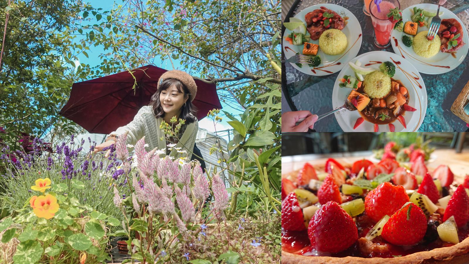 ☆【台北｜內湖】莓圃休閒農園。森林系小花園吃草莓雞腿排、草莓披薩，還可以採草莓 @凱的日本食尚日記